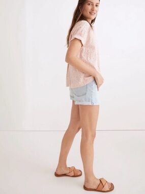 Madewell Light Pink Eyelet Short Sleeve Blouse